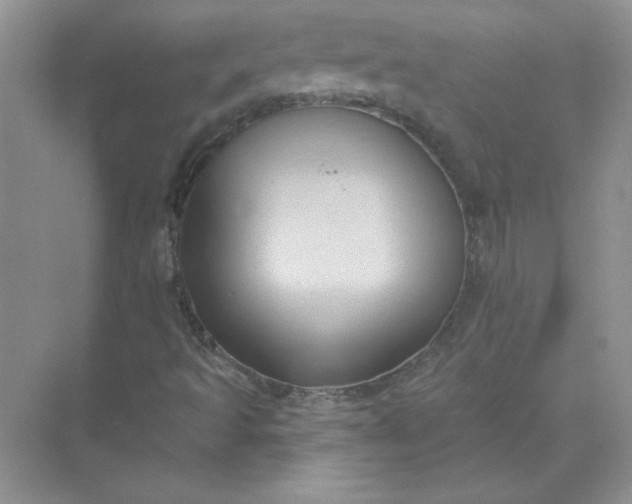 X0000071961493200607212238