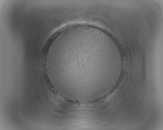 X0000071961494200607212239