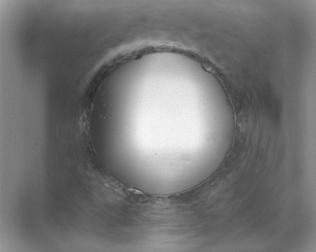 X0000071961495200607212239