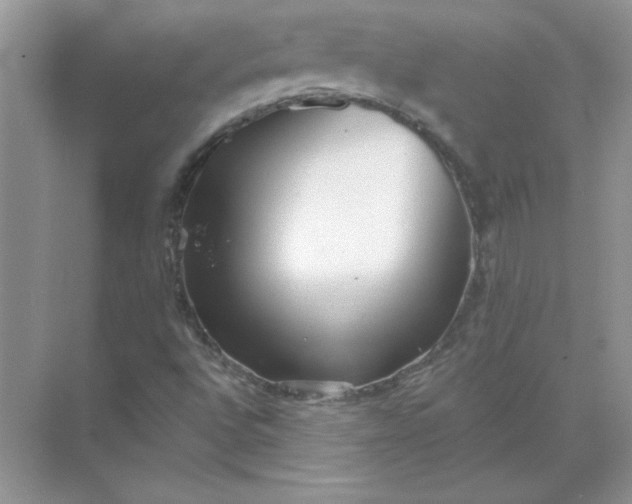 X0000071961496200607212239