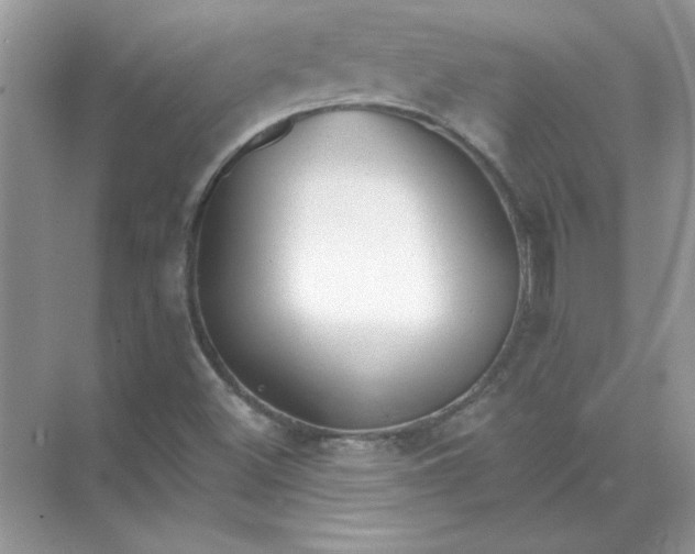 X0000071961500200607212239