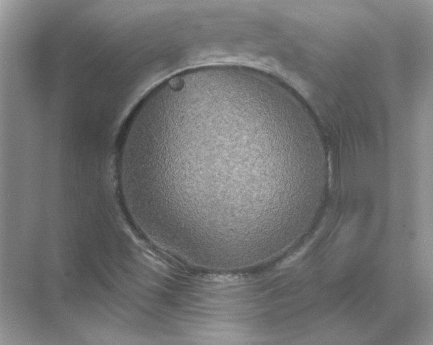 X0000071961501200607212239