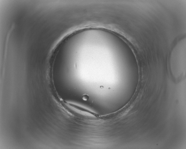 X0000071961502200607212239