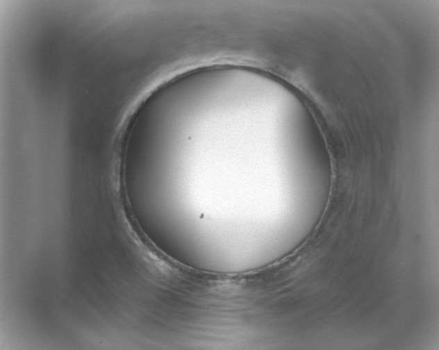 X0000071961504200607212239