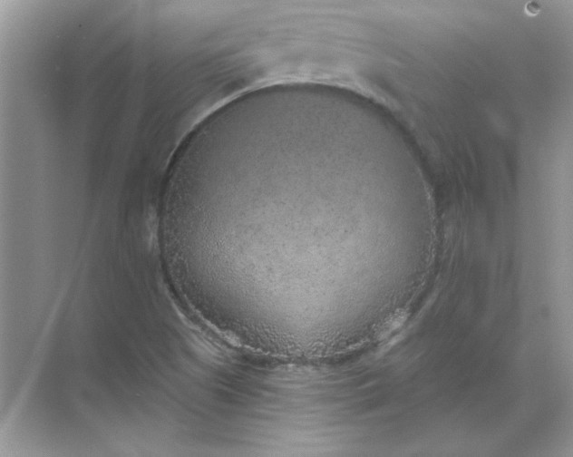 X0000071961505200607212239