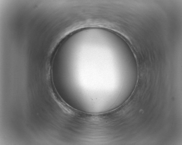 X0000071961507200607212239