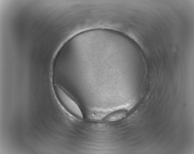 X0000071961508200607212239