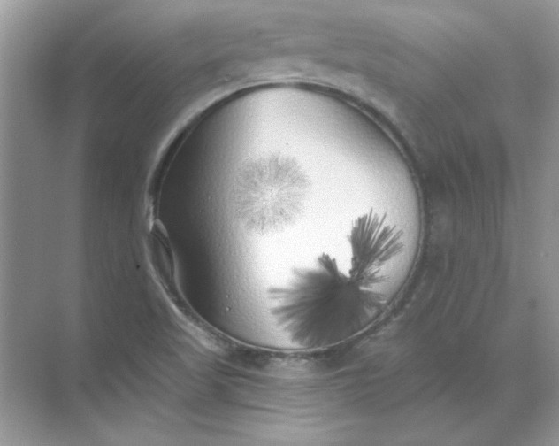 X0000071961509200607212239