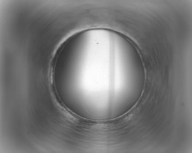 X0000071961510200607212239