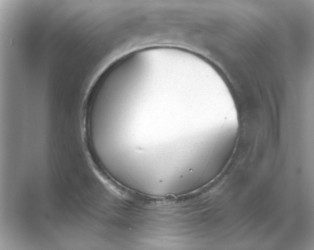 X0000071961511200607212239