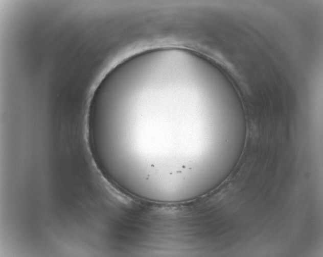 X0000071961512200607212239