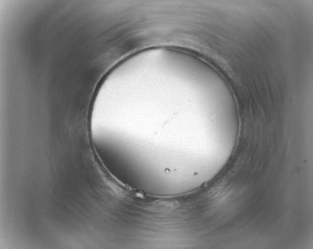 X0000071961513200607212239