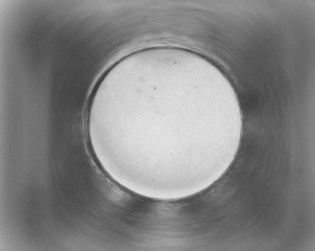 X0000071961514200607212239