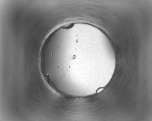 X0000071961518200607212239