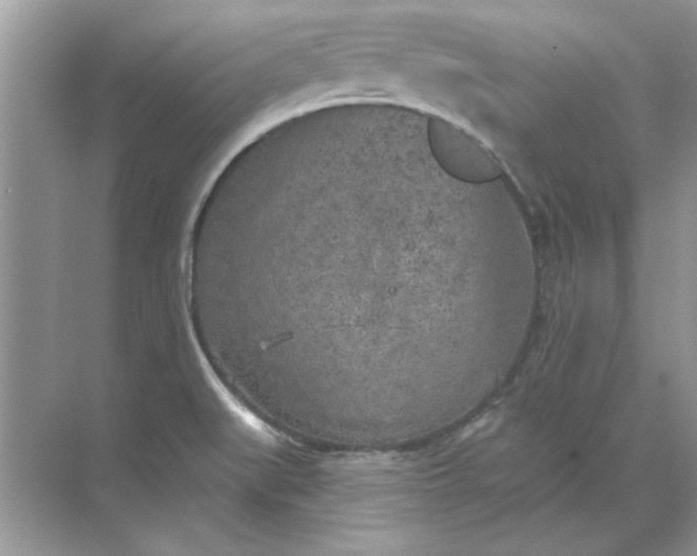 X0000071961519200607212239