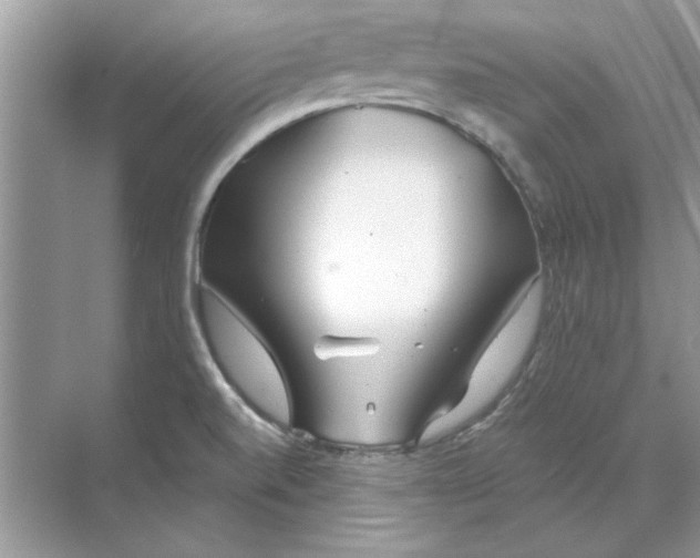 X0000071961520200607212239