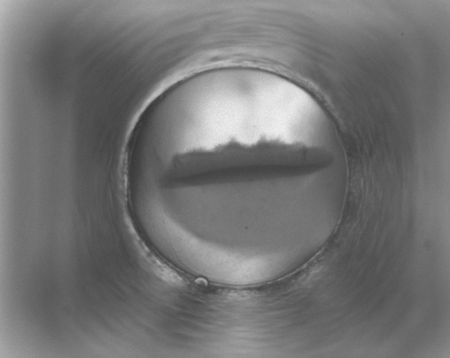 X0000071961522200607212239