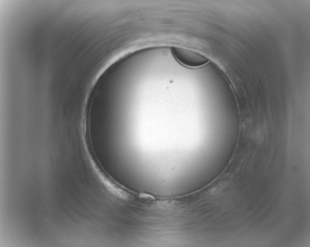 X0000071961523200607212239