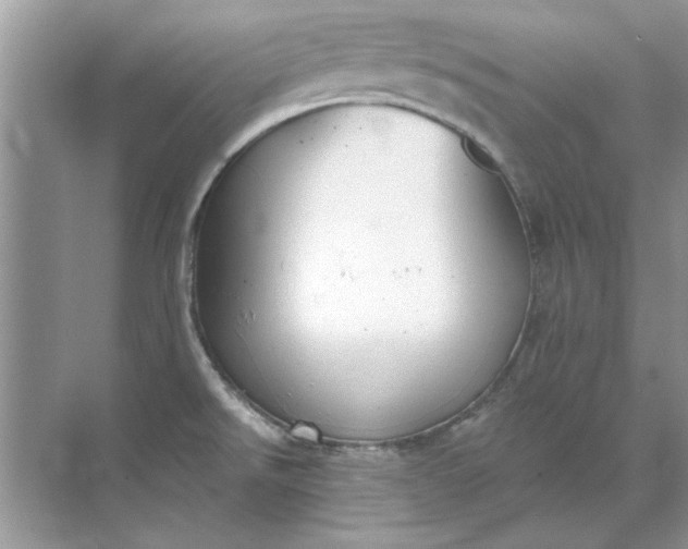 X0000071961526200607212239