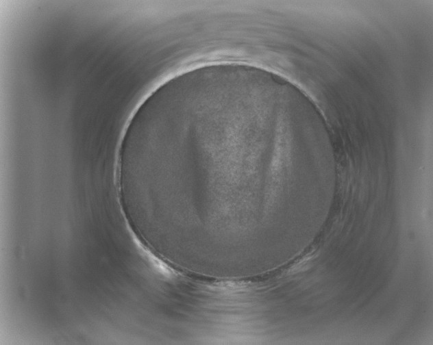 X0000071961527200607212239