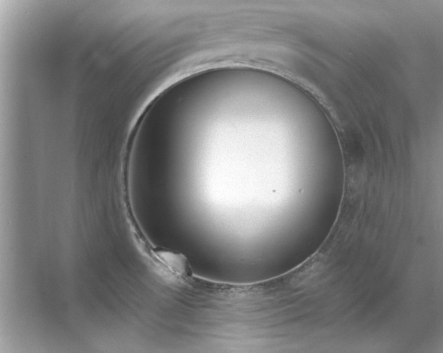 X0000071961530200607212239