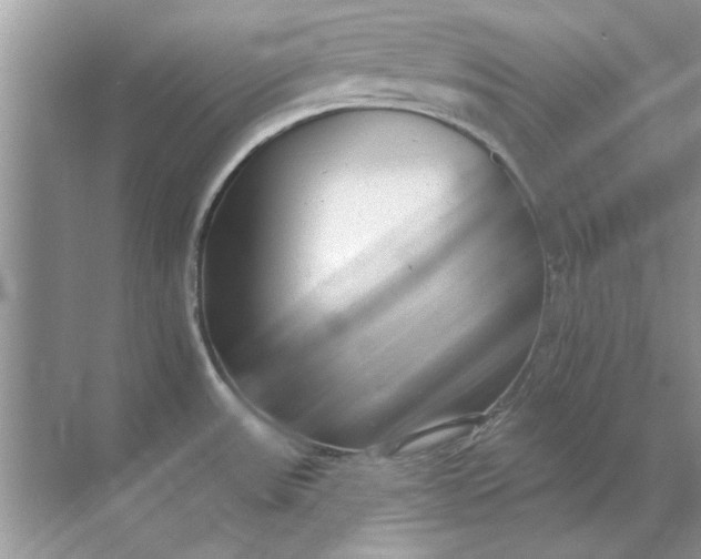 X0000071961531200607212239