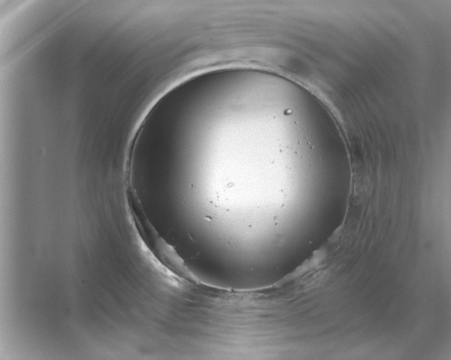 X0000071961532200607212239