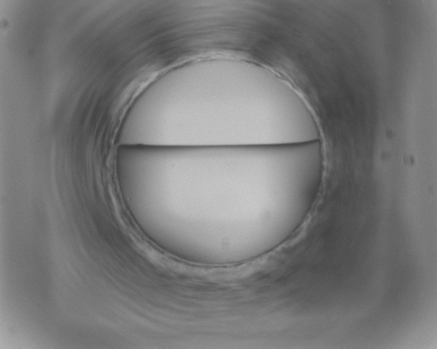 X0000071960001200607282045