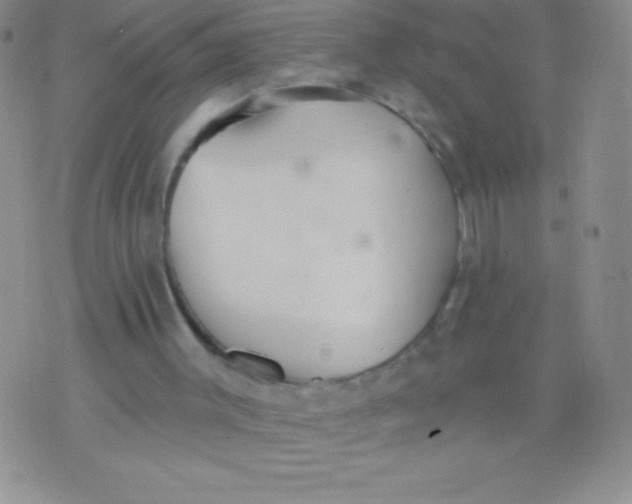 X0000071960003200607282045