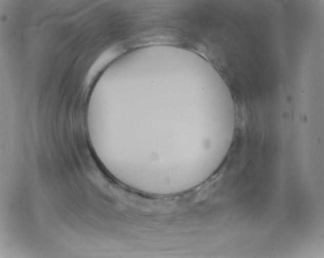 X0000071960004200607282045