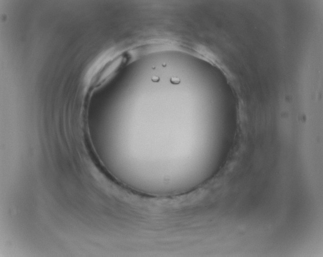 X0000071960007200607282045