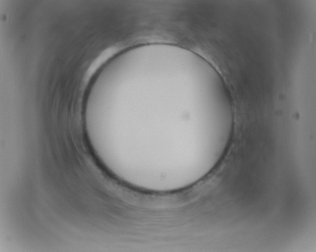 X0000071960008200607282045