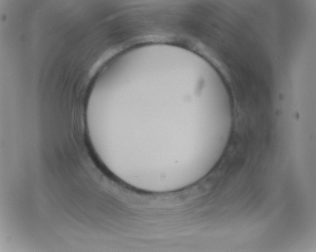 X0000071960011200607282044