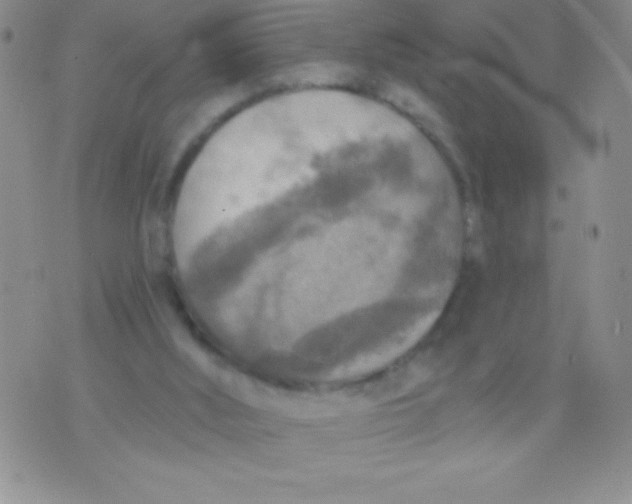 X0000071960012200607282044