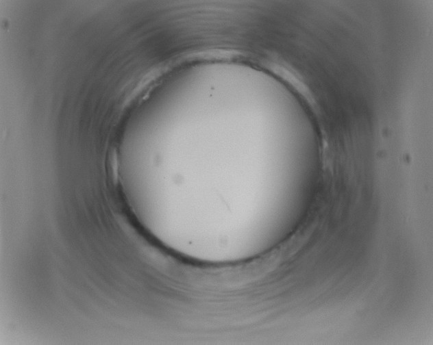 X0000071960013200607282044