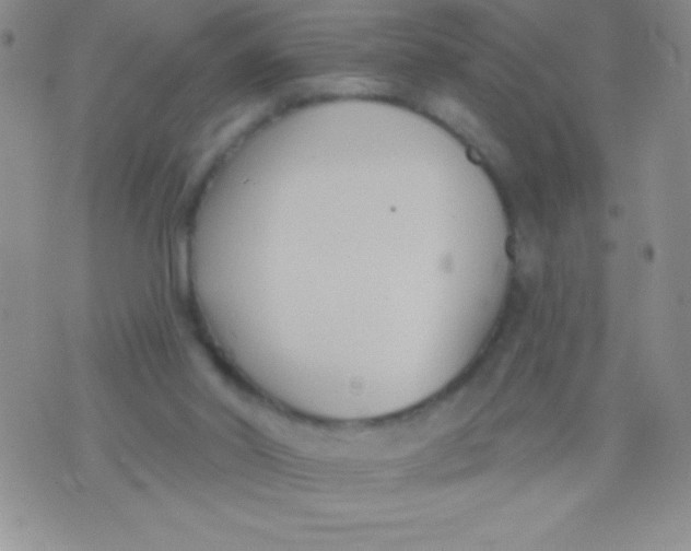 X0000071960014200607282044