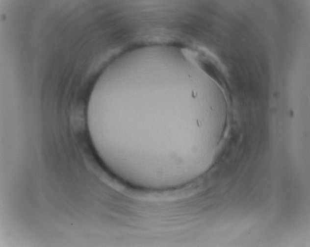 X0000071960017200607282044