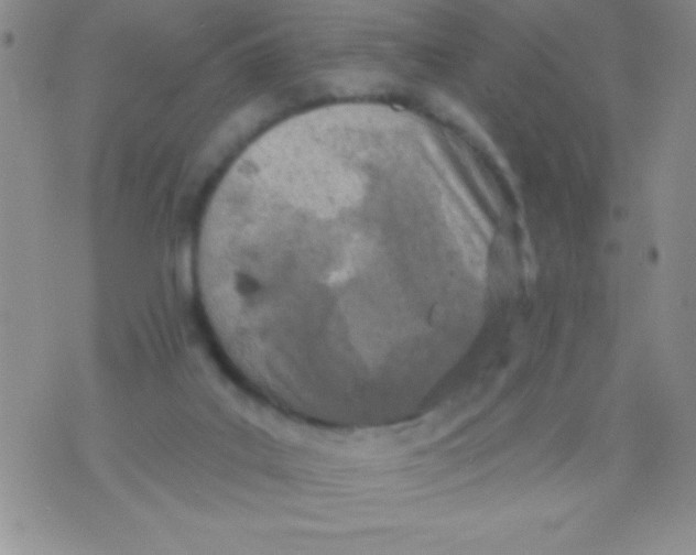 X0000071960019200607282044