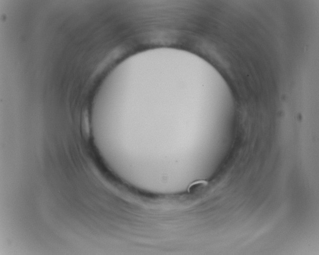 X0000071960020200607282044