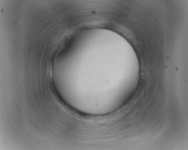 X0000071960021200607282044