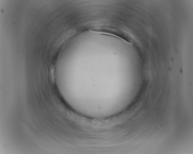 X0000071960022200607282044