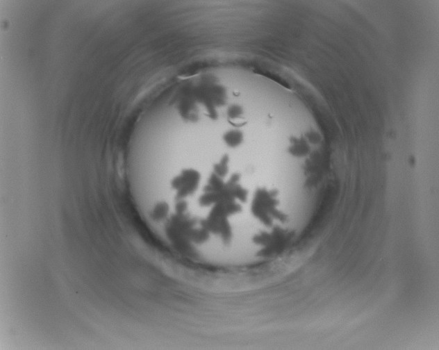 X0000071960024200607282044