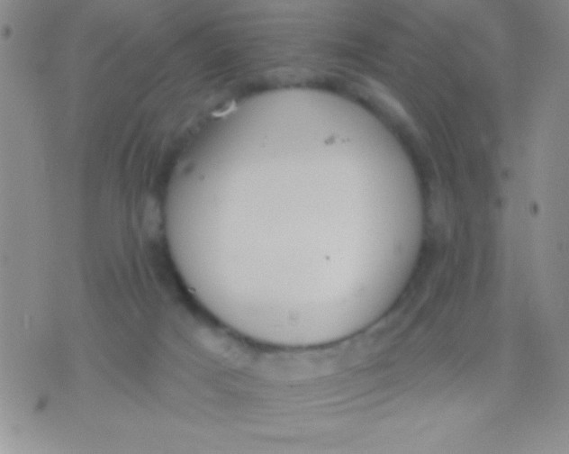 X0000071960025200607282044