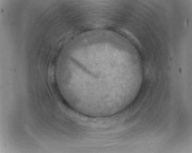 X0000071960026200607282044