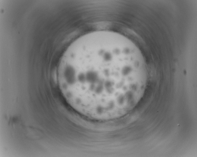 X0000071960028200607282044