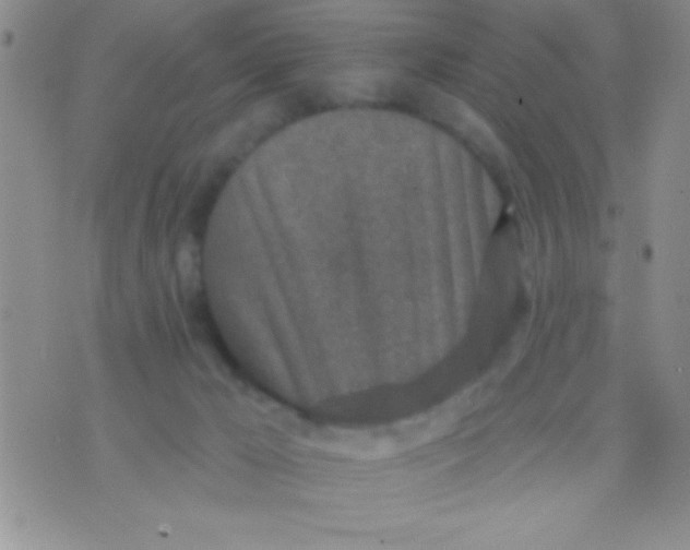 X0000071960029200607282044