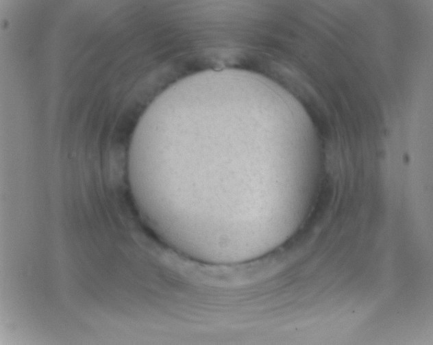 X0000071960030200607282044