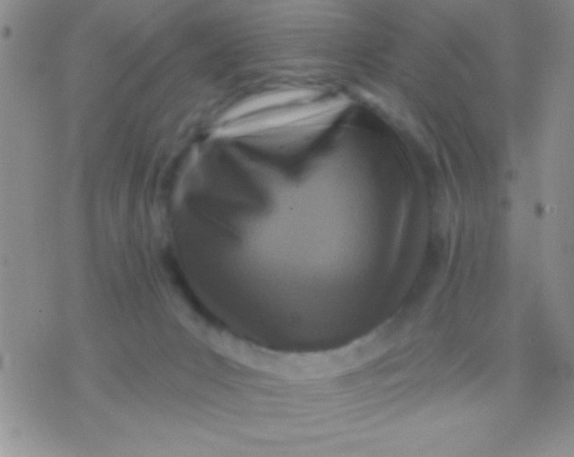 X0000071960031200607282044