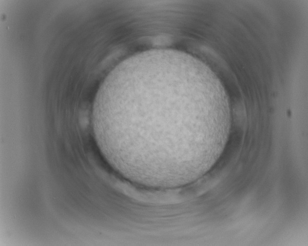 X0000071960032200607282044