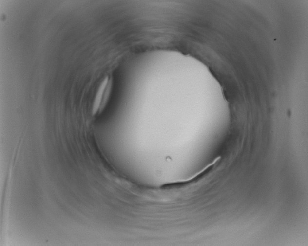 X0000071960033200607282044